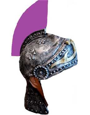 trojan helmet purple top